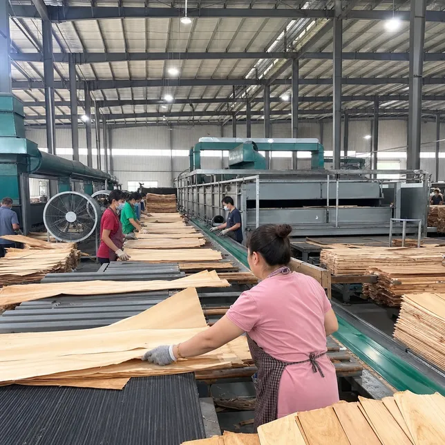 Veneer grading and pre-press drying line at QDPlywood facility
