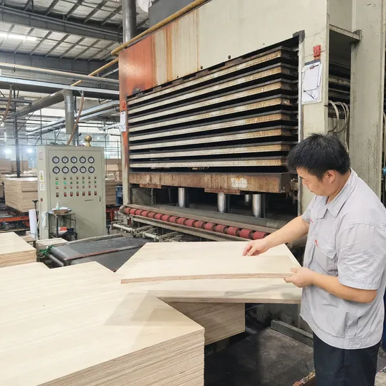 12mm plywood hot press manufacturing line showing controlled temperature and pressure bonding process