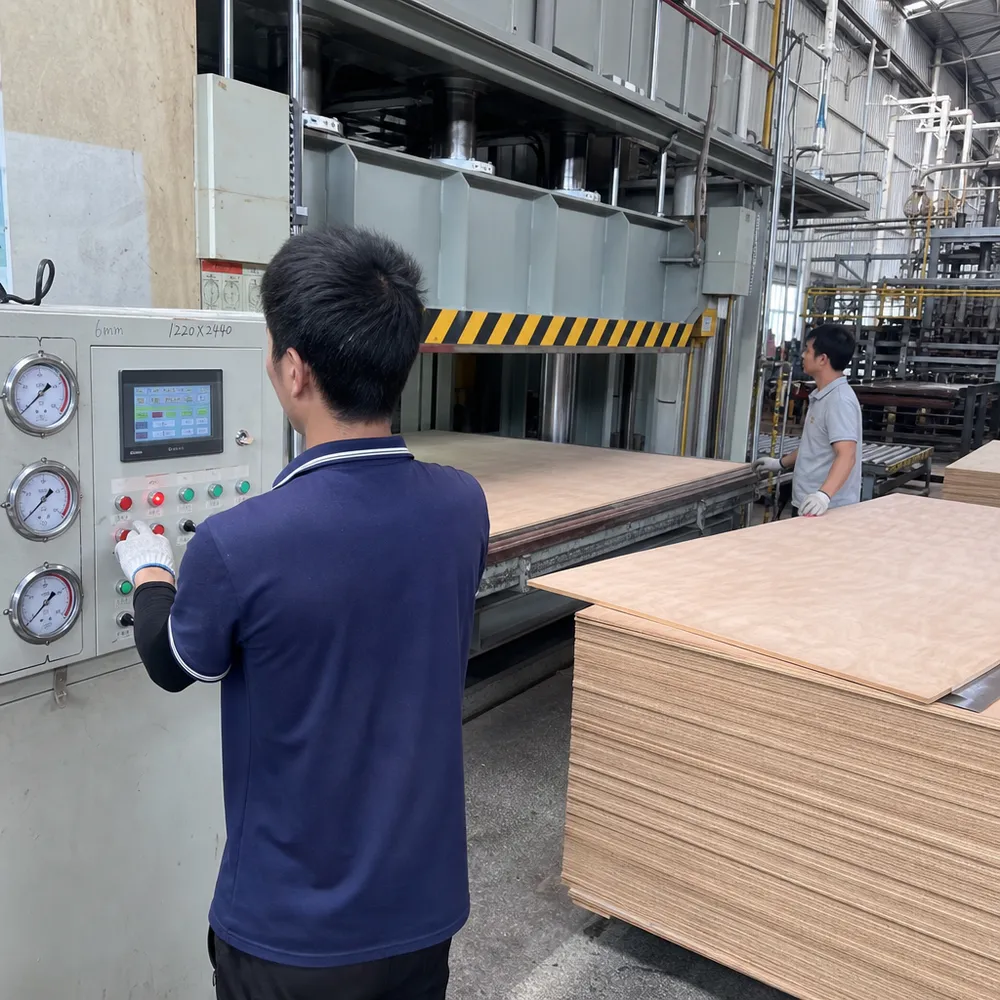 Hot press calibration for 6mm thin plywood production at QDPlywood factory