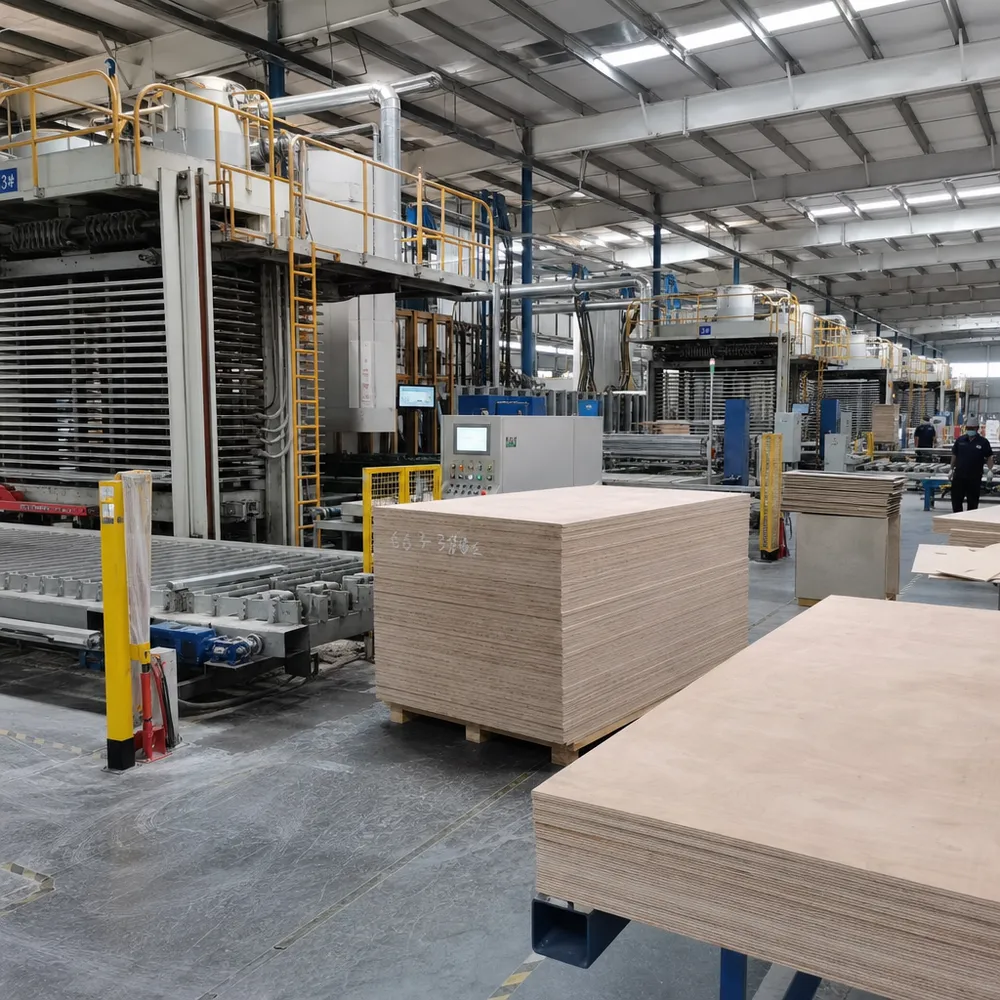 QDPlywood.com manufacturing facility in Xuzhou, Jiangsu — 18,000 m² production floor with six hot press lines