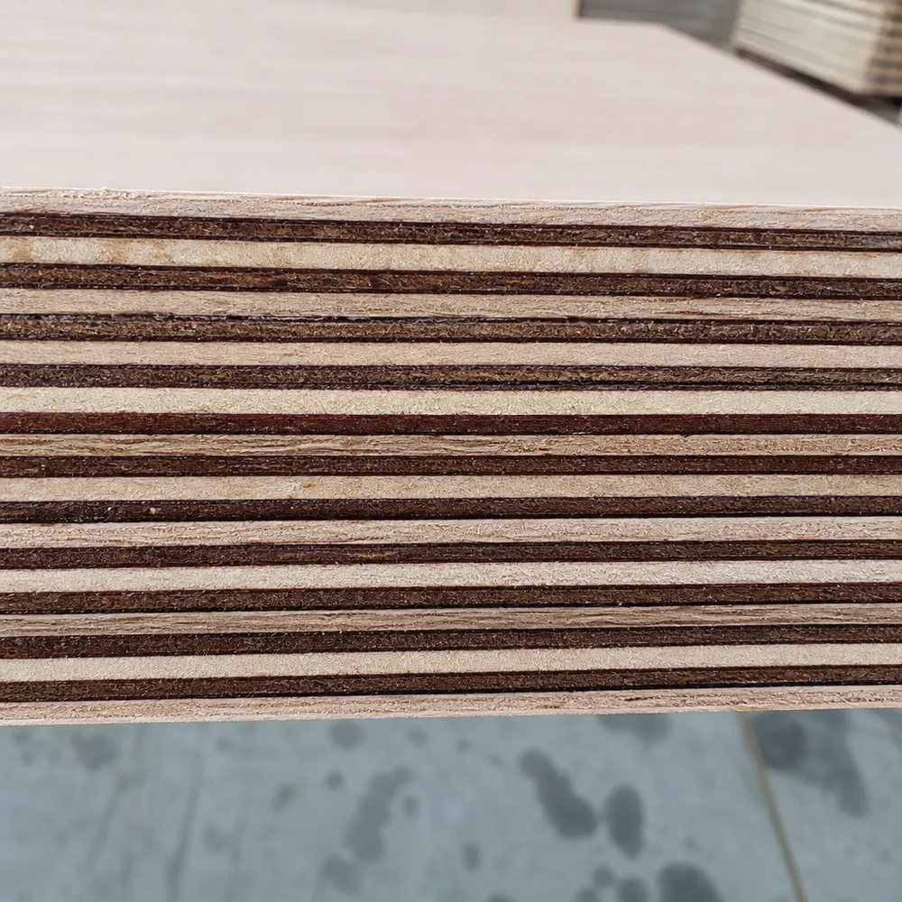 Cross-section of exterior plywood showing full WBP phenolic glue line through all bond layers