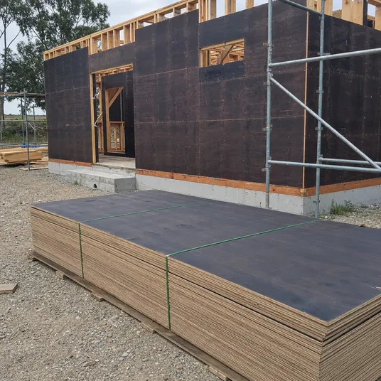 Exterior plywood panels used for construction sheathing and exterior cladding substrates
