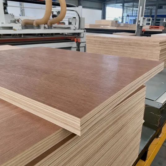 Marine plywood panel with WBP phenolic glue bonding for moisture-resistant applications