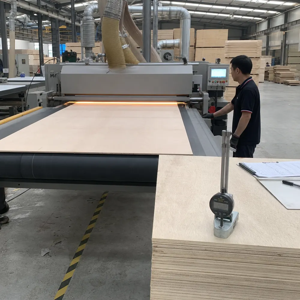 Calibrated wide-belt sanding line producing interior plywood panels with ±0.2mm thickness tolerance