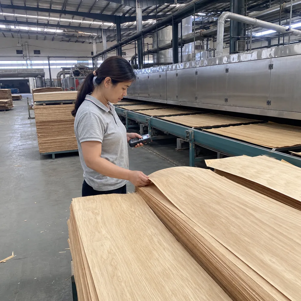 Interior plywood veneer drying line — moisture content verification before layup