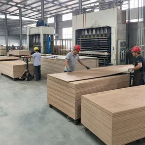 QD Wood Industry marine plywood production facility — factory-direct sourcing