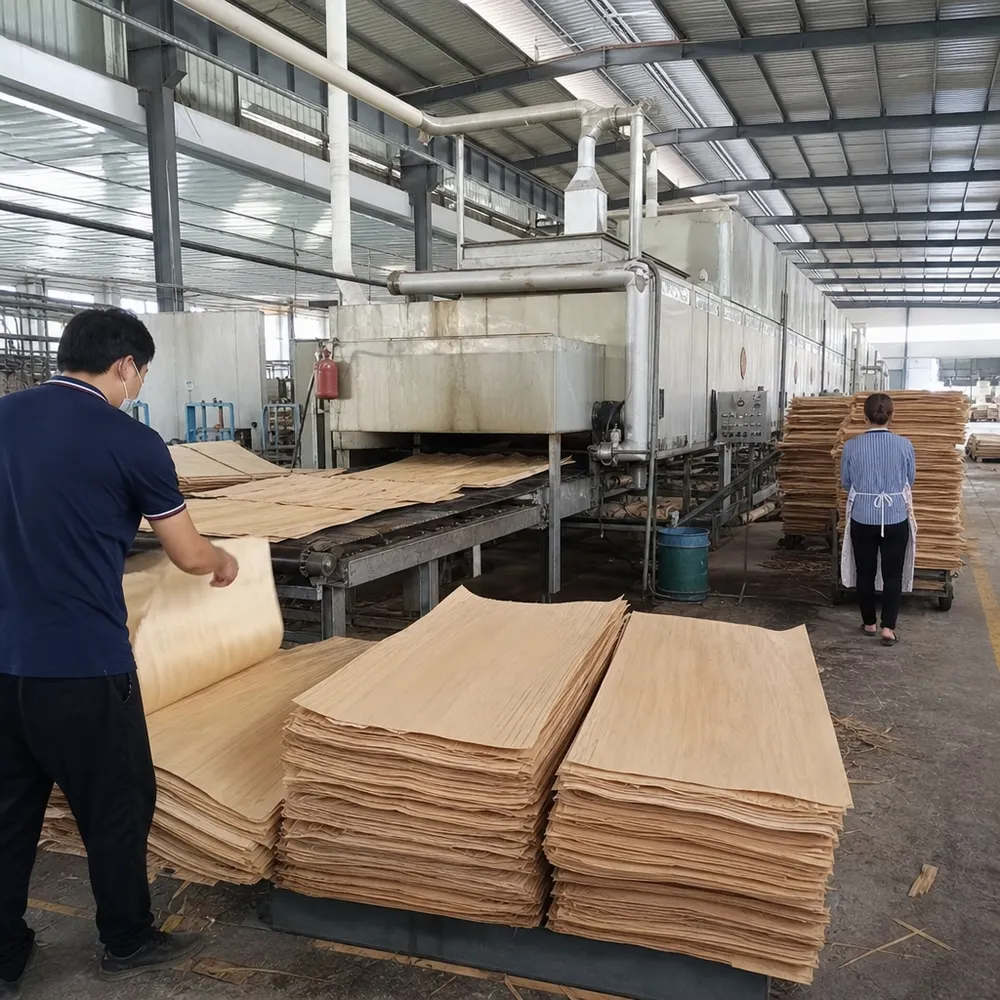 Veneer drying process at QDPlywood — moisture content controlled before hot press layup