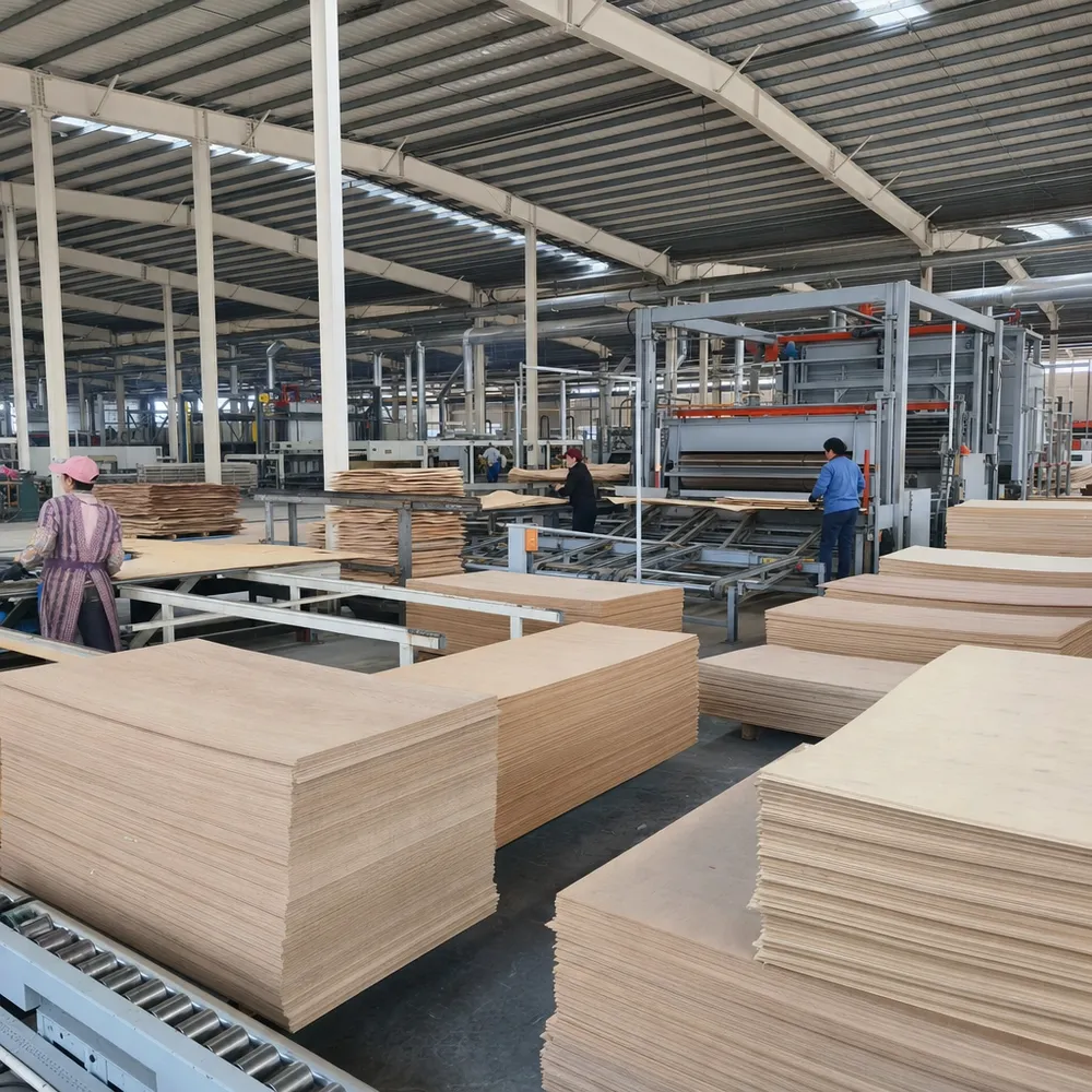 QDPlywood manufacturing facility at Sanbao Industrial Park, Xuzhou — 6 production lines, 450,000 m³ annual capacity