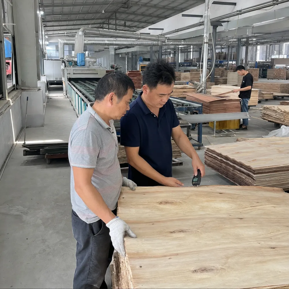 Veneer drying line with pin-type moisture meter inspection before layup