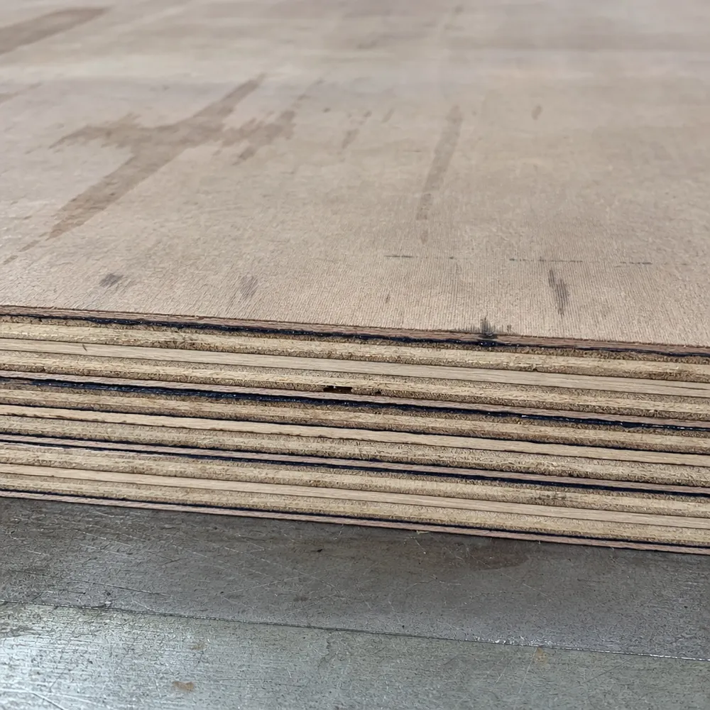 Cross-section of structural plywood showing perpendicular veneer layup and WBP phenolic resin bonding