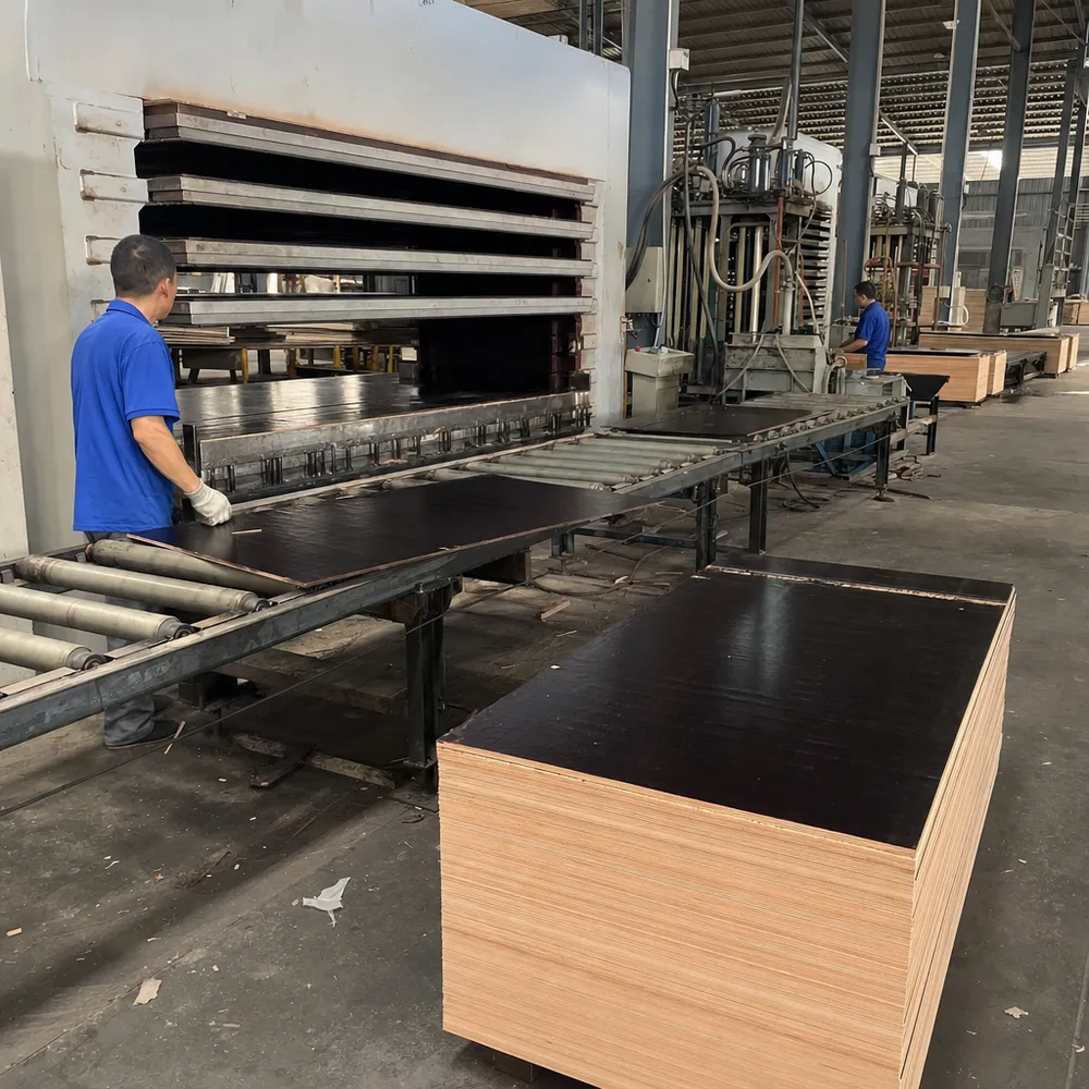 Hot press production line for 12mm film faced plywood manufacturing