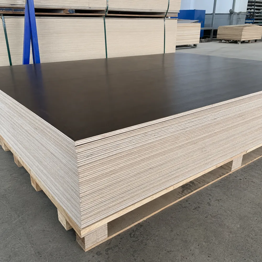 Birch film faced plywood — European and North American premium specification
