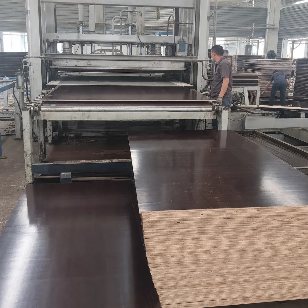 Film overlay lamination press process for 18mm film faced plywood — phenolic film bonding under heat and pressure