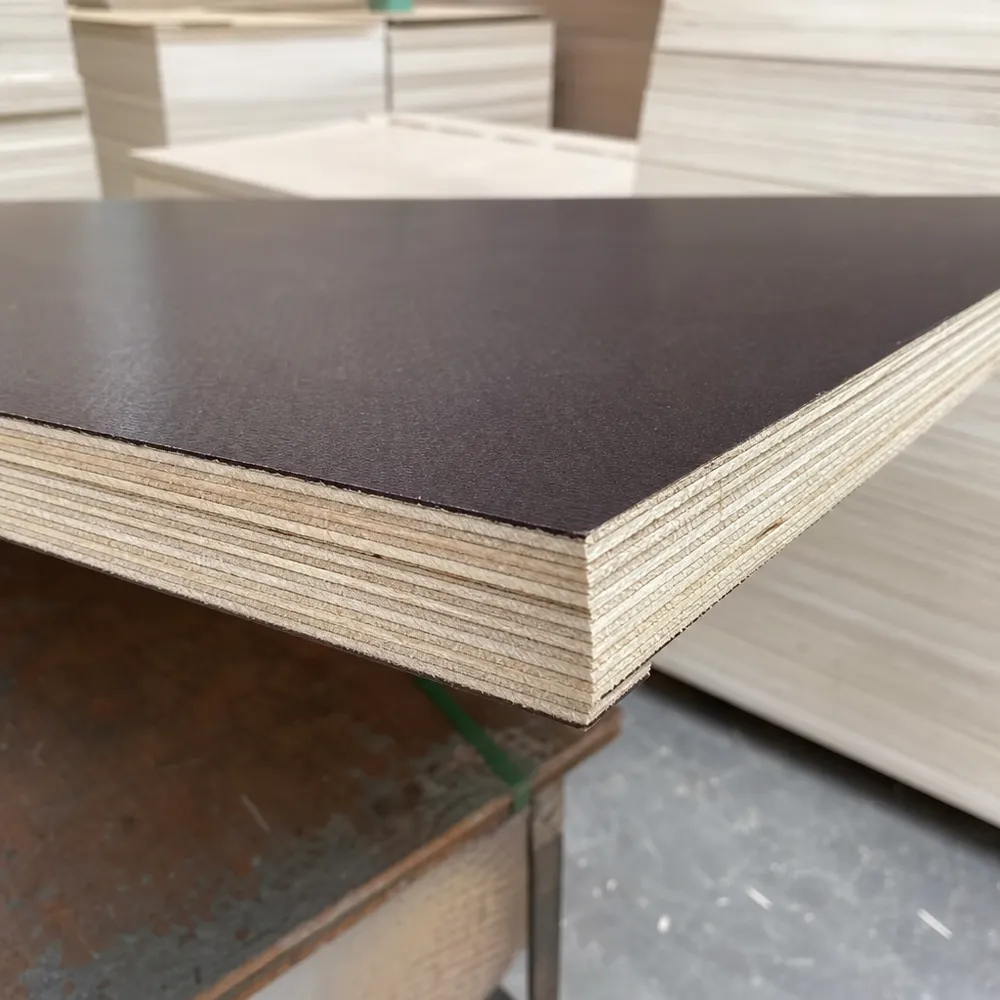 Cross-section of birch core film faced plywood showing tight veneer grain and phenolic film overlay bond