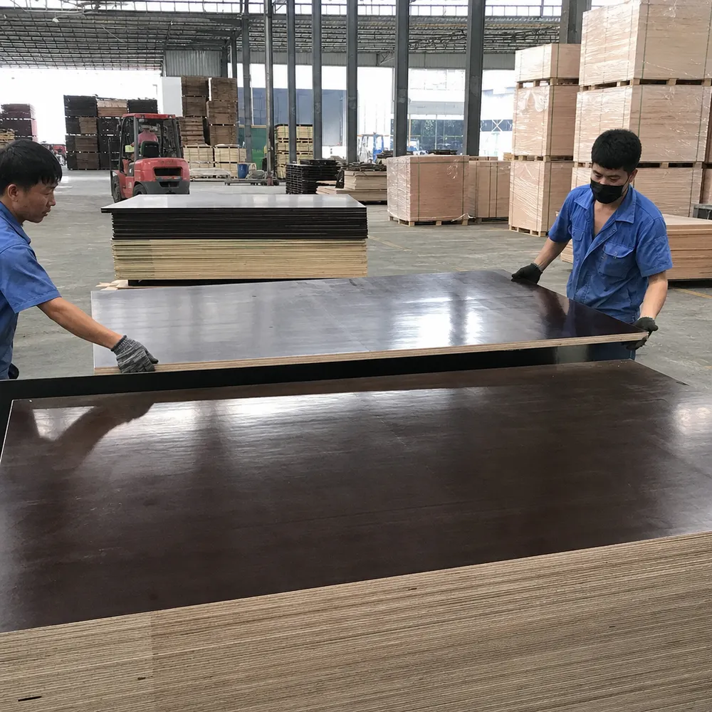 QDPlywood factory — brown film faced plywood production and export