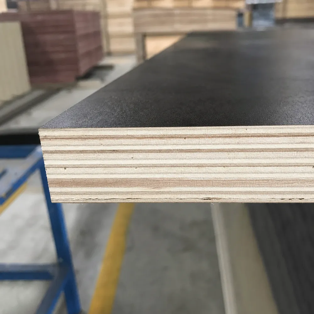 Film faced plywood cross-section showing veneer layers, WBP glue bond, and phenolic film overlay