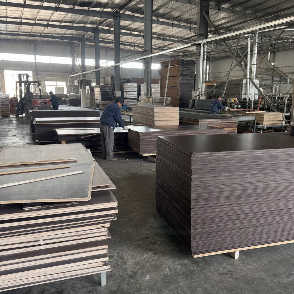Xuzhou QD Wood Industry factory floor — film faced plywood production and export