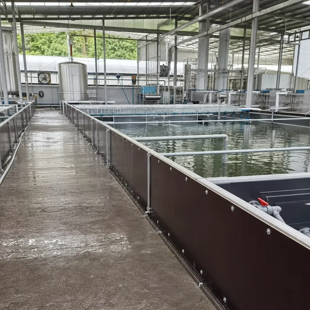 Marine film faced plywood in aquaculture and wet processing facilities — QDPlywood.com