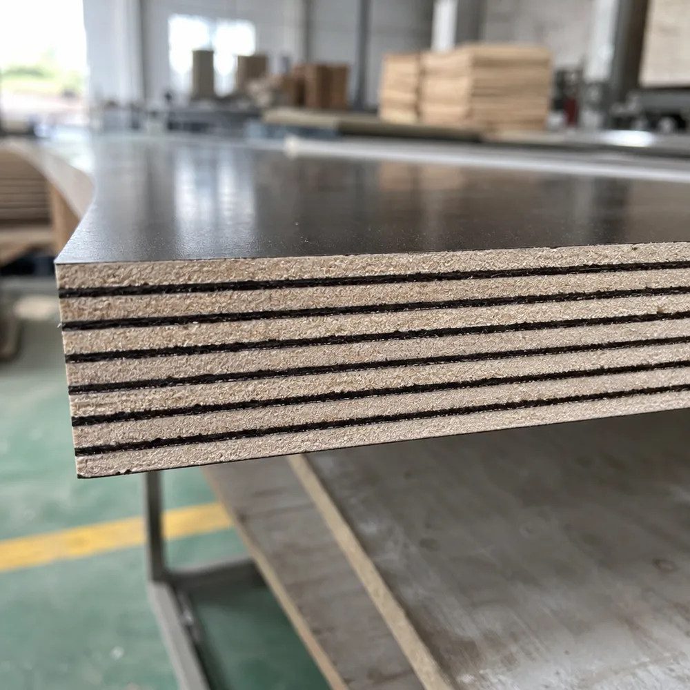 Cross-section showing WBP phenolic glue line in marine film faced plywood — QDPlywood.com