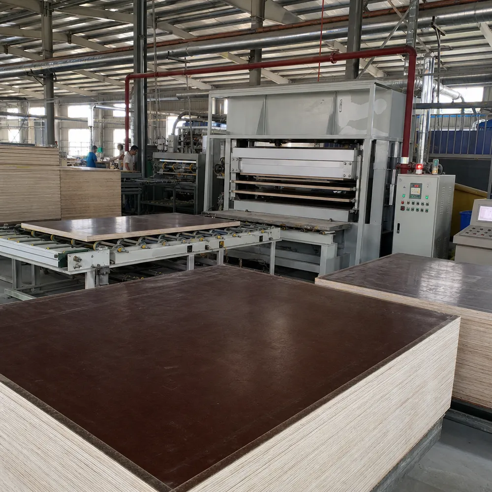 Dedicated hot press line for phenolic film lamination on plywood panels