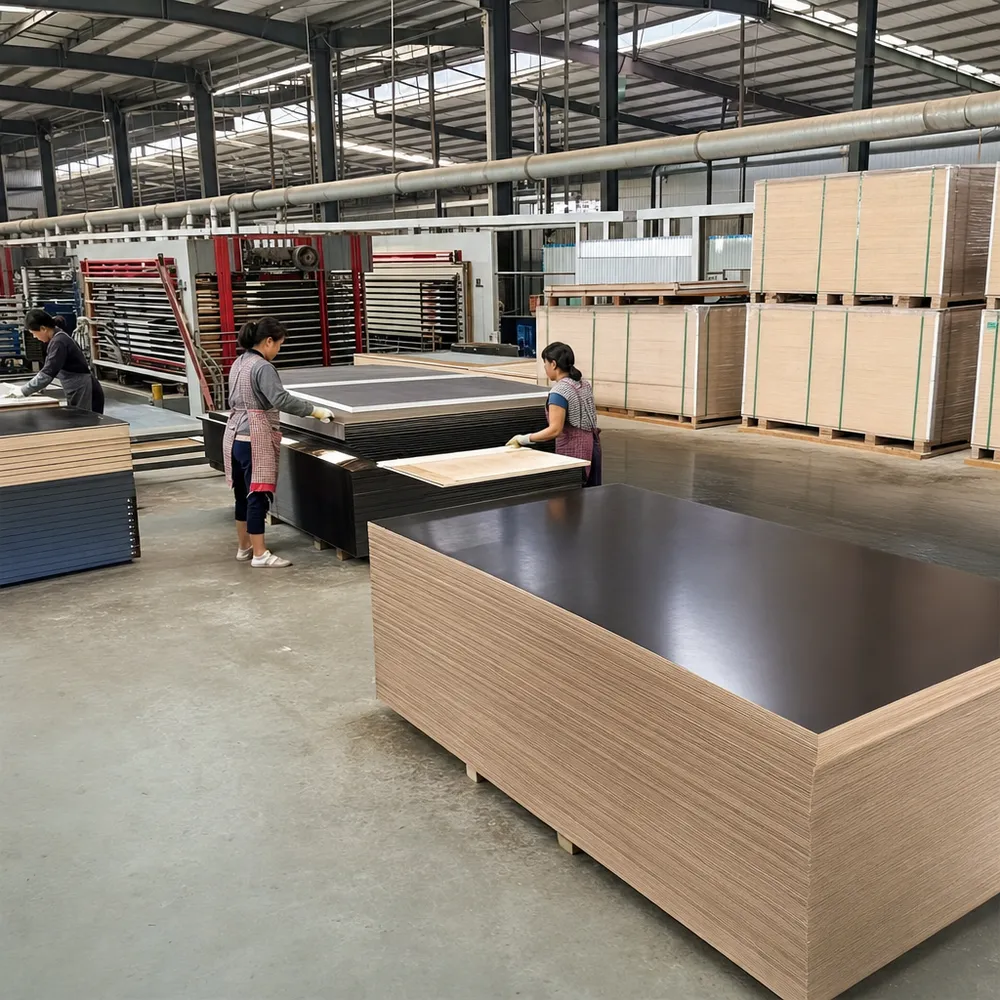 QDPlywood factory floor showing waterproof film faced plywood production and export preparation