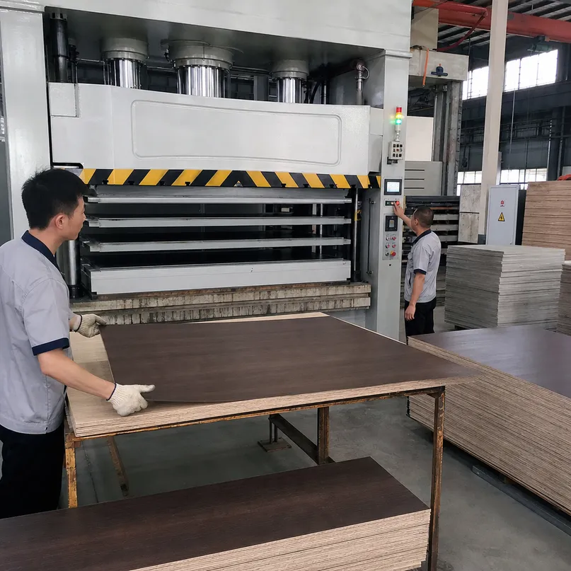 Short-cycle hot press bonding HPL laminate to plywood core at QDPlywood factory