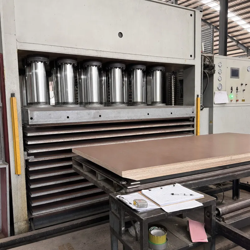 Multi-daylight hydraulic hot press laminating HPL sheets onto plywood panels at QDPlywood factory