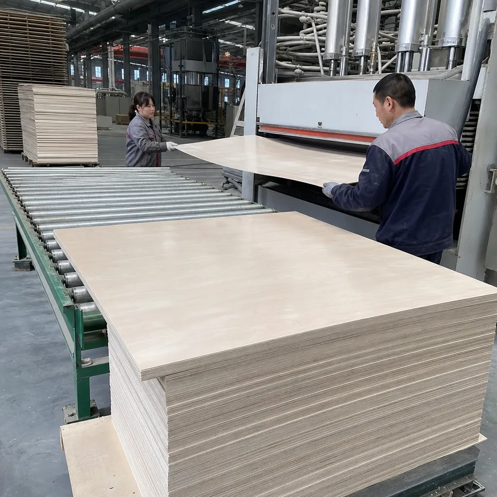 HPL plywood substrate and lamination process at QDPlywood Xuzhou