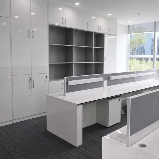 Office furniture and storage units built with glossy melamine plywood