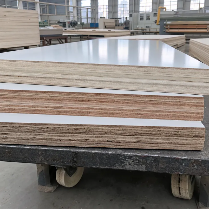 Glossy melamine plywood core options — poplar, eucalyptus, and hardwood core cross-sections