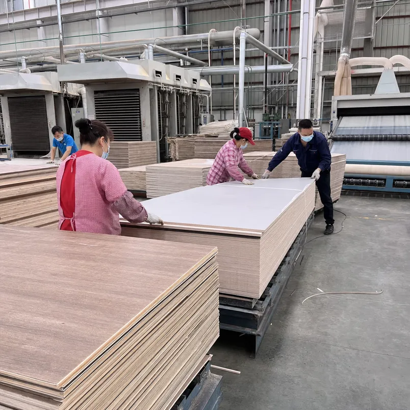 Melamine plywood core layup and hot press process at QDPlywood factory