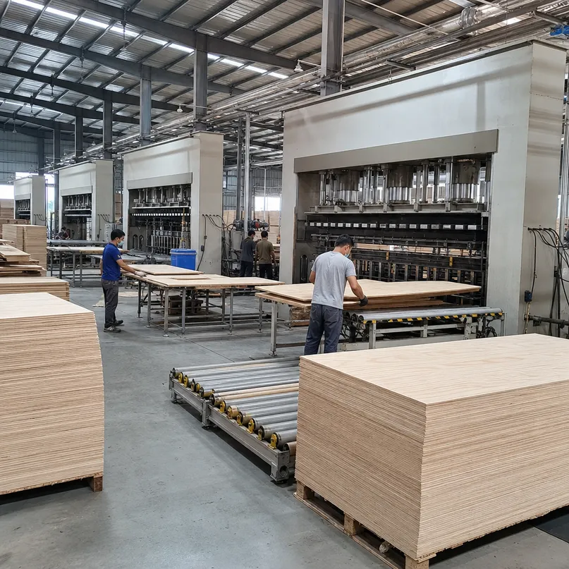 QDPlywood factory production floor showing press lines and production operations