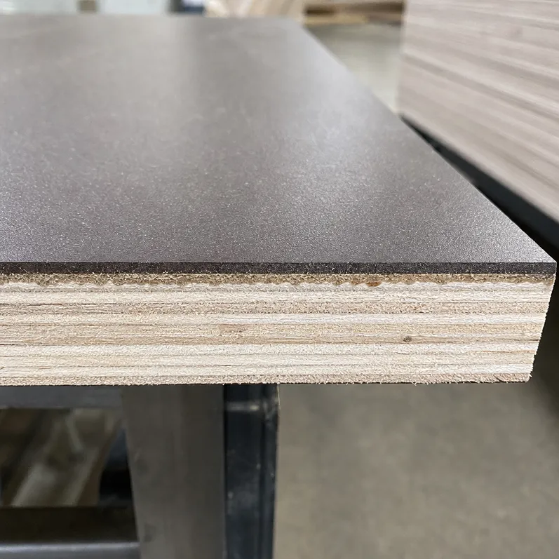 Cross-section of paper overlaid plywood showing resin-saturated kraft paper bonded to face veneer