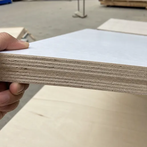 Cross-section view of paper overlaid plywood panel showing core layers and overlay surface