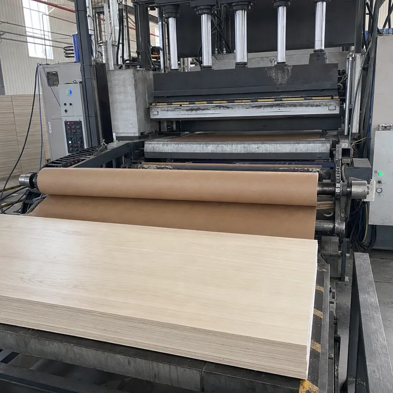 MDO overlay bonding press process at 140-160°C showing resin-impregnated paper being pressed onto veneer face